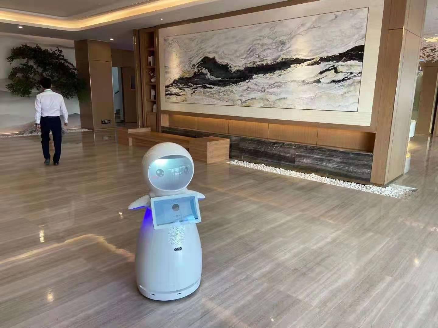 2020-25年中国医院导诊机器人行业市场运营现状及投资方向研究报告docx(图1)